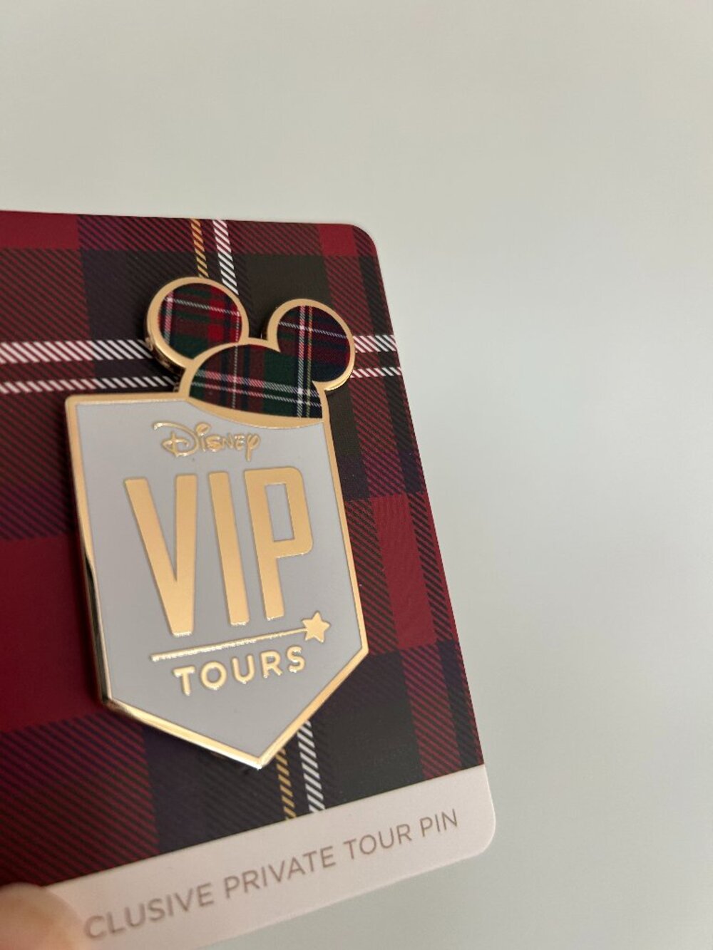 Two (2) Exclusive Disney VIP Tour buttons, 2026